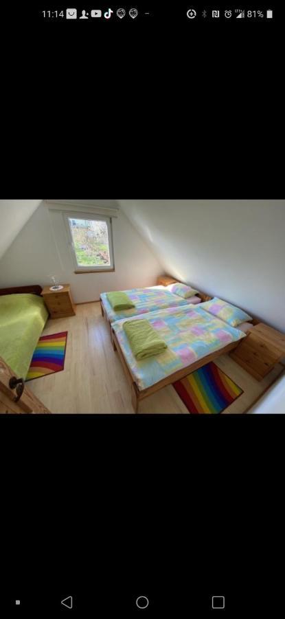 Zagroda Z Antonowka Szypliszki Esterno foto