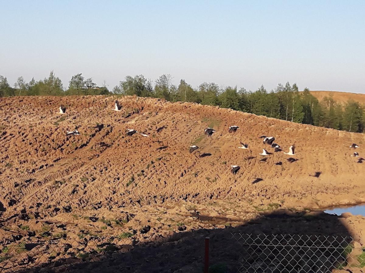 Zagroda Z Antonowka Szypliszki Esterno foto